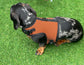 Dachshund harness ,dog harness ,dachshund dog vest ,no arm pit rub harness,rub free harness