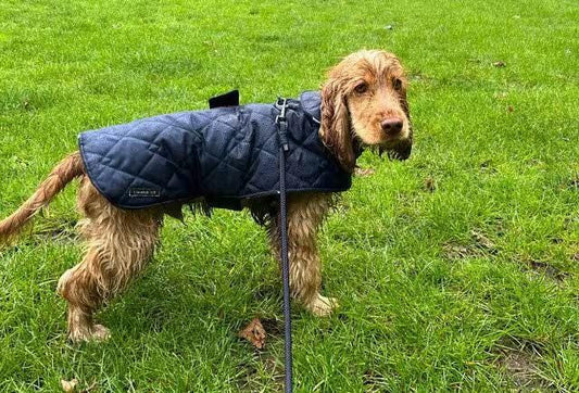 Dachshund Quilted Dog Coat: Water-Resistant Fleece Lined Winter Jacket