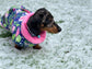 Fleece Dachshund Coat: Water Repellent Dog Jumper, Chest Covering