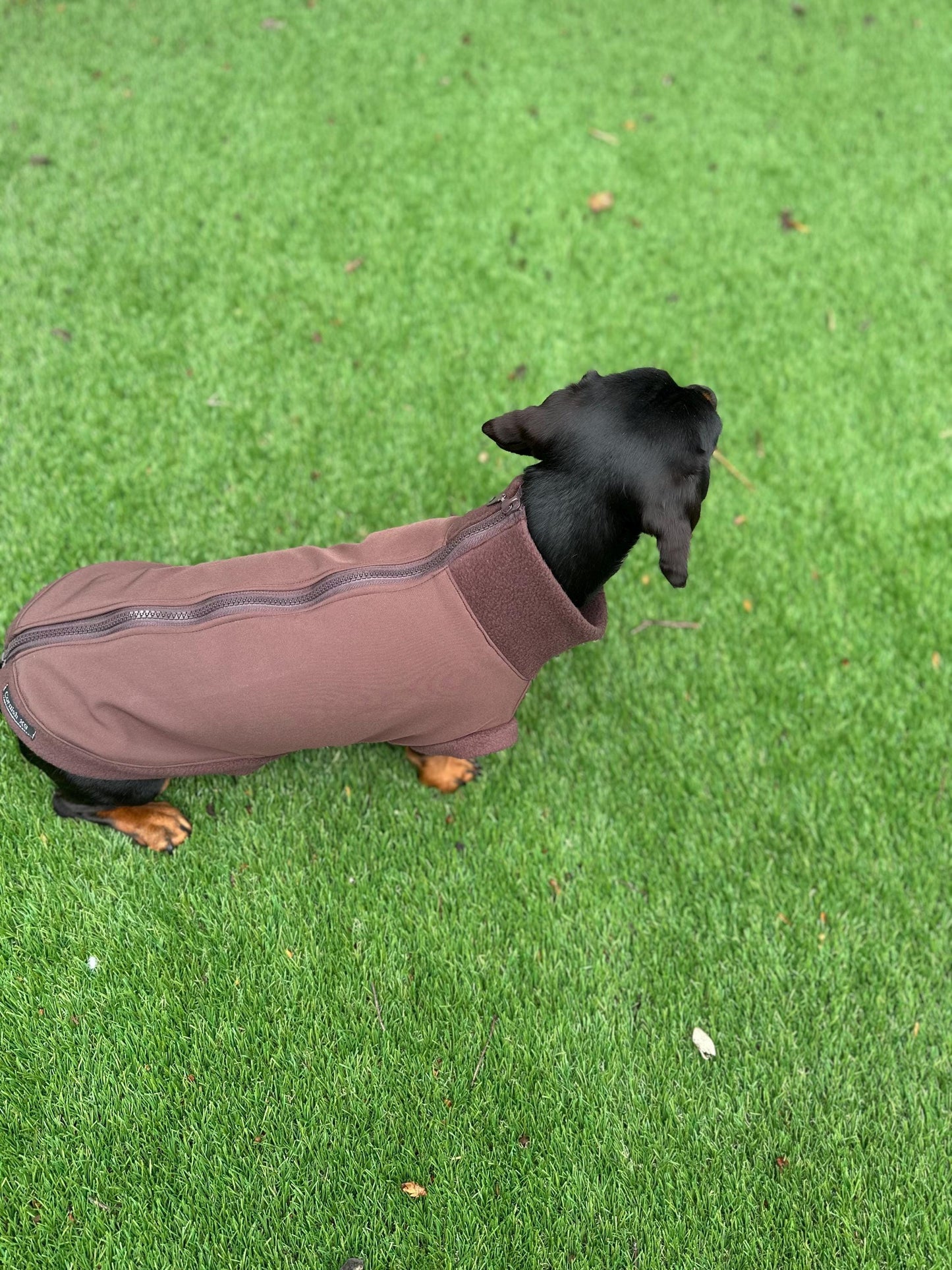 Dachshund Softshell zipped waterproof  jacket ,water repellent  jumper ,step in dog coat,  ,washable dog jacket, Mud Repellent