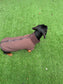 Dachshund Softshell zipped waterproof  jacket ,water repellent  jumper ,step in dog coat,  ,washable dog jacket, Mud Repellent