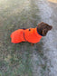 Dachshund Fleece Dog Drying Coat: Absorbent Terry Lined, Washable Jumper