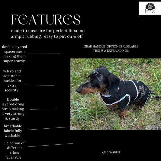 Made-to-Measure Dachshund Harness: Cornish Tartan Trim, No-Rub Design