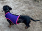 Dachshund harness ,dog harness ,dachshund dog vest ,no arm pit rub harness,rub free harness
