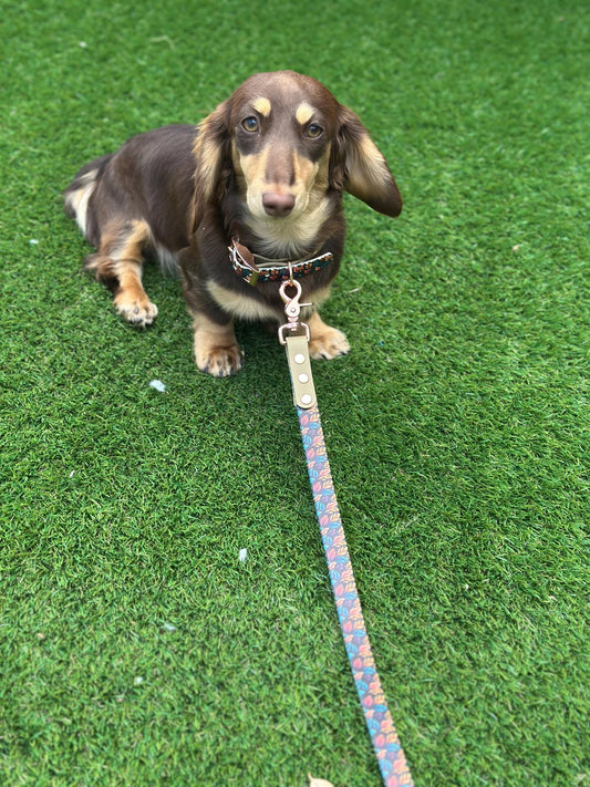 Waterproof Biothane Dog Collar & Lead Set: Rose Gold Hardware