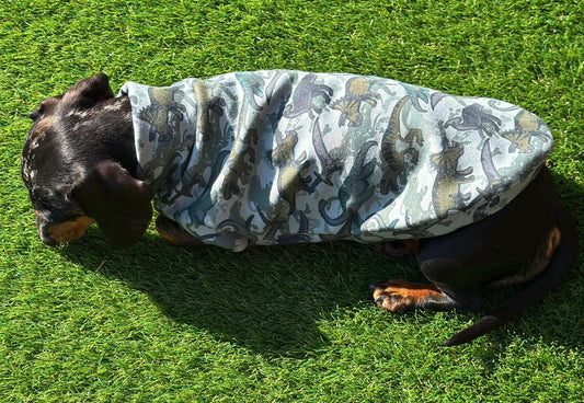 Dachshund Dino Fleece Jumper: Washable Daxie Sweatshirt
