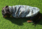 Dachshund Dino Fleece Jumper: Washable Daxie Sweatshirt