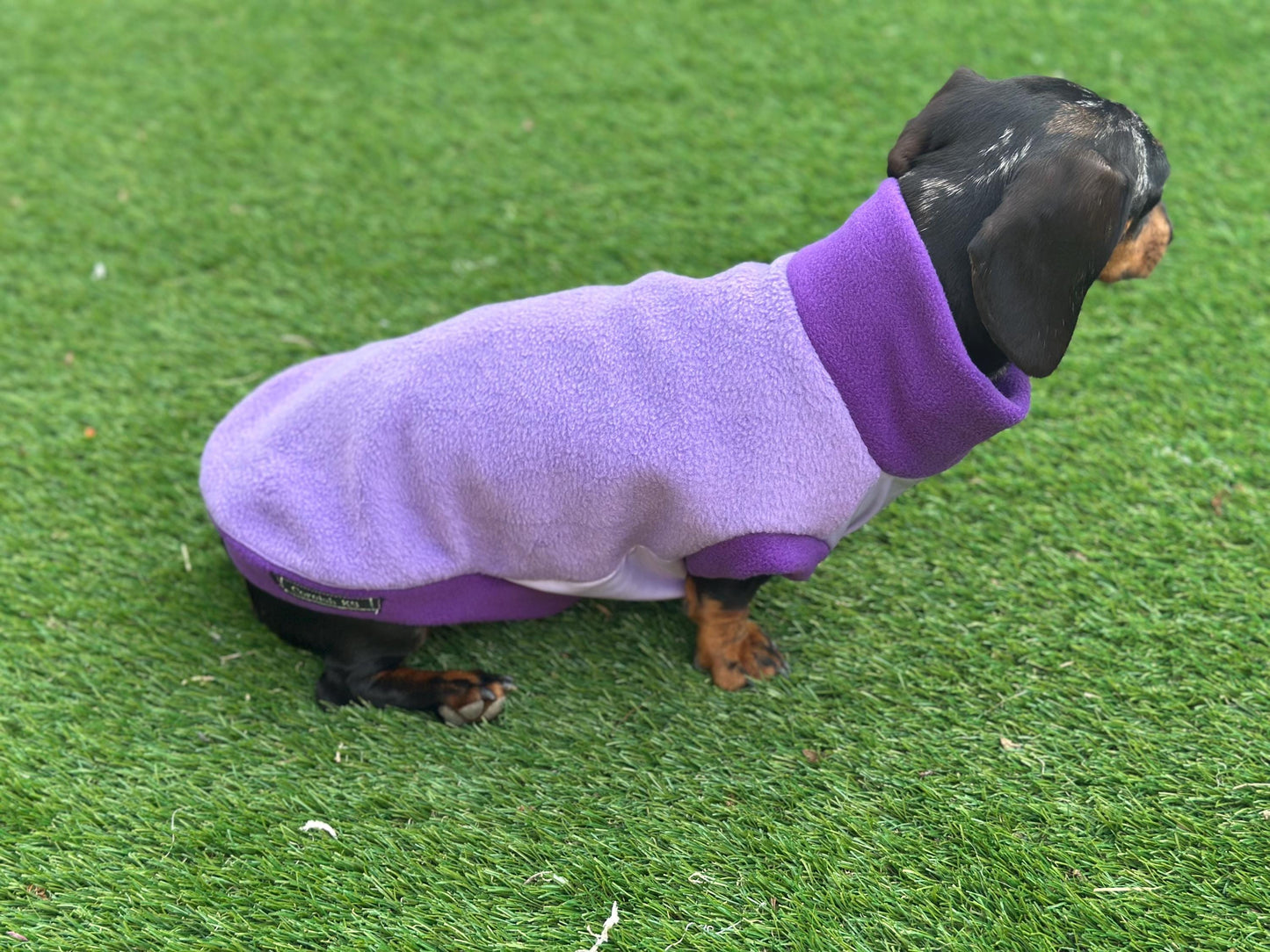 Waterproof Dachshund Fleece Jumper: Eco-Friendly Dog Suit