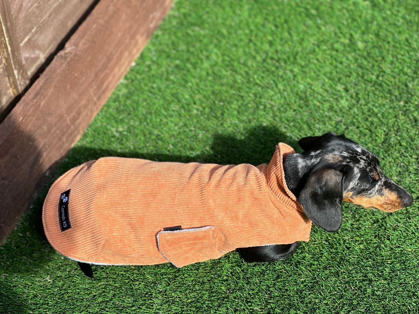 Corduroy Dachshund Coat: Fleece Lined Dog Jacket with Harness Hole