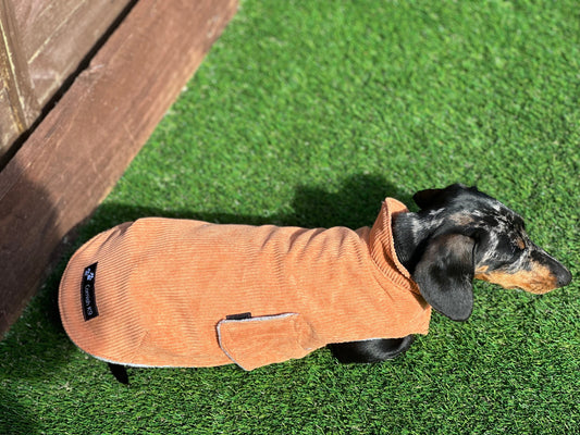 Corduroy Dachshund Coat: Fleece Lined Dog Jacket with Harness Hole