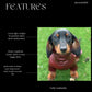 Waterproof Dachshund Onesie: Eco-Friendly Stretchy Dog Jumpsuit
