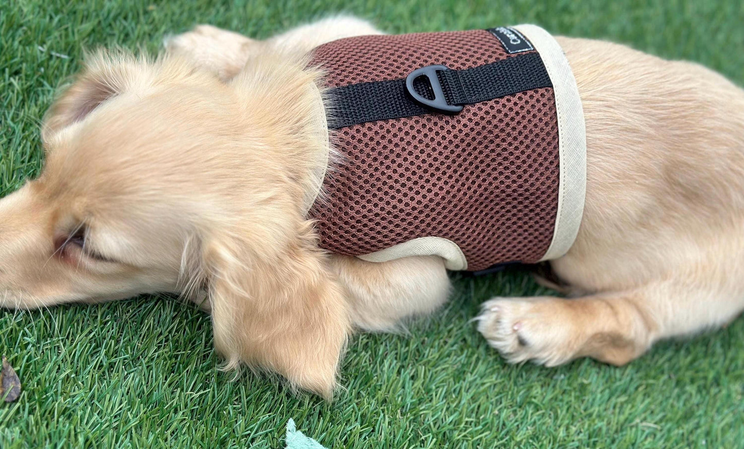 Dachshund harness ,dog harness ,dachshund dog vest , rub free harness