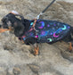 Dachshund zipped Softshell waterproof jacket ,zipped dachshund jumper ,breathable dog jumper, dog jacket,Water & Mud Repellent
