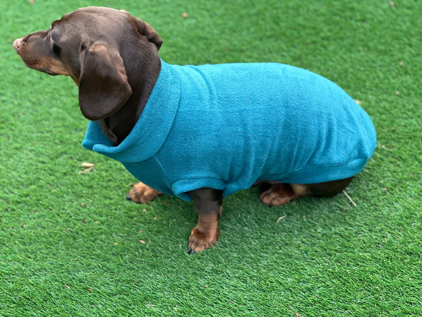 Dachshund open neck Fleece ,dachshund  tankies, daxie jumper, dachshund fleece ,washable dog jumper,Water & Mud Repellent dog suit