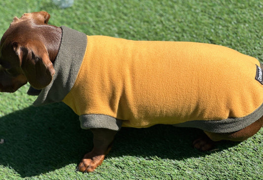 Water Repellent Dachshund Fleece Jumper: Open Neck Dog Coat