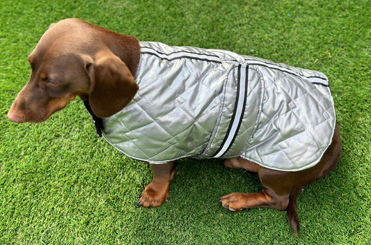 Reflective Dachshund Quilted Dog Coat: Waterproof Winter Jacket