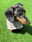 Water resistant dog coat, waterproof dog coat, shower proof dog coat ,pet lover, pet accessories,dachshund dog coat