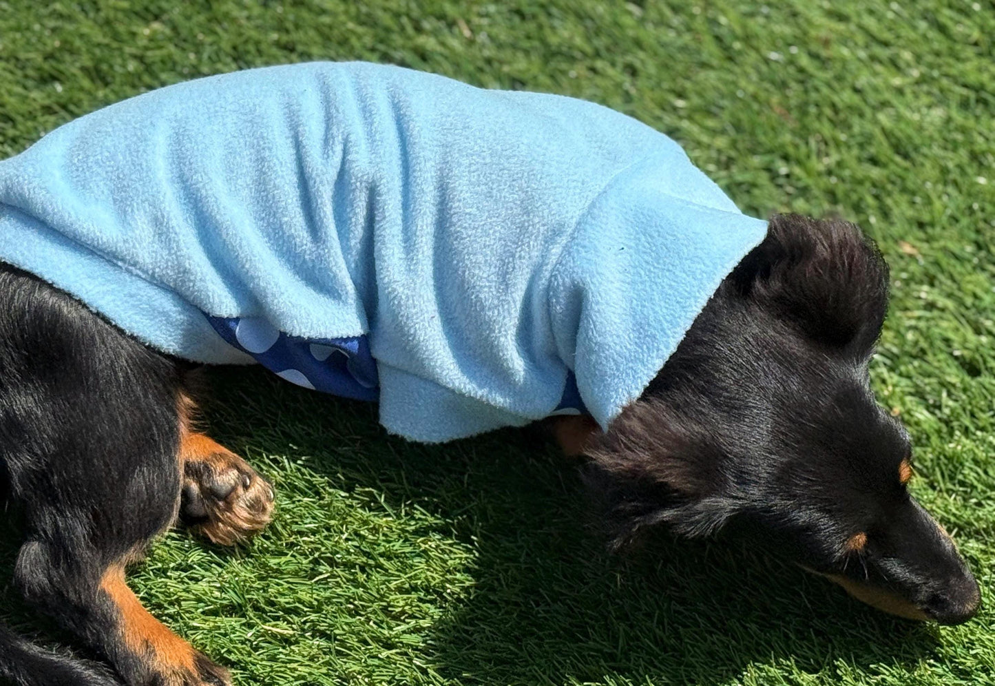 Dachshund  waterproof tummy fleece ,dachshund jumper ,dachshund jacket,mud and water repellent fleece , dachshund fleece
