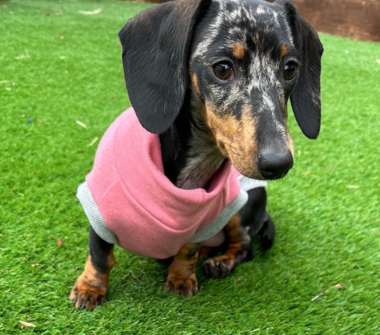 Dachshund Fleece Sweatshirt: Soft Washable Dog Jumper