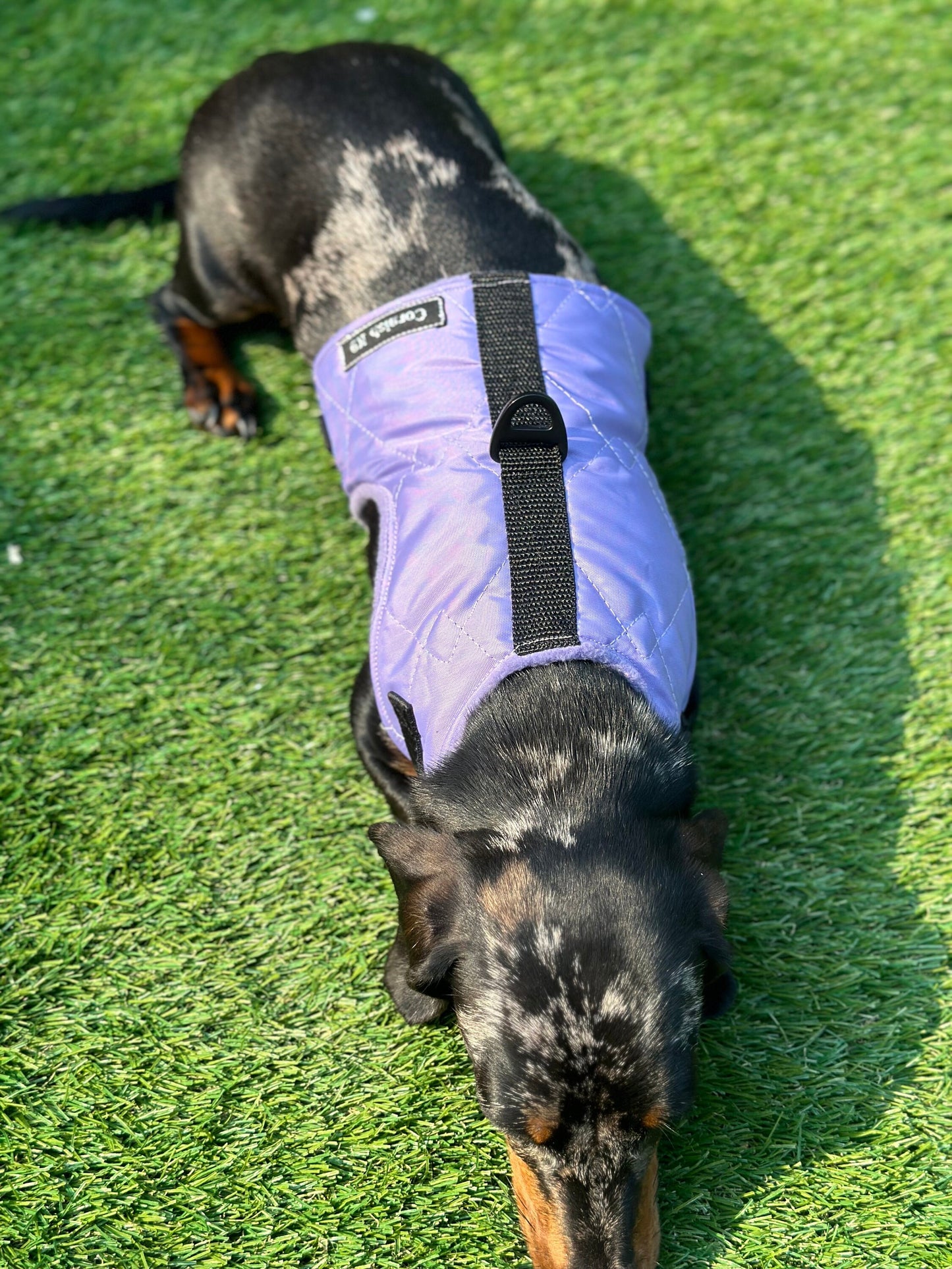 Waterproof Quilted Dachshund Harness: Fleece Lined, No-Rub Design