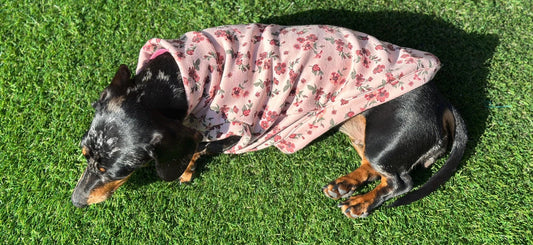 Floral Dachshund Fleece Jumper: Washable Dog Sweater