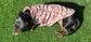 Floral Dachshund Fleece Jumper: Washable Dog Sweater