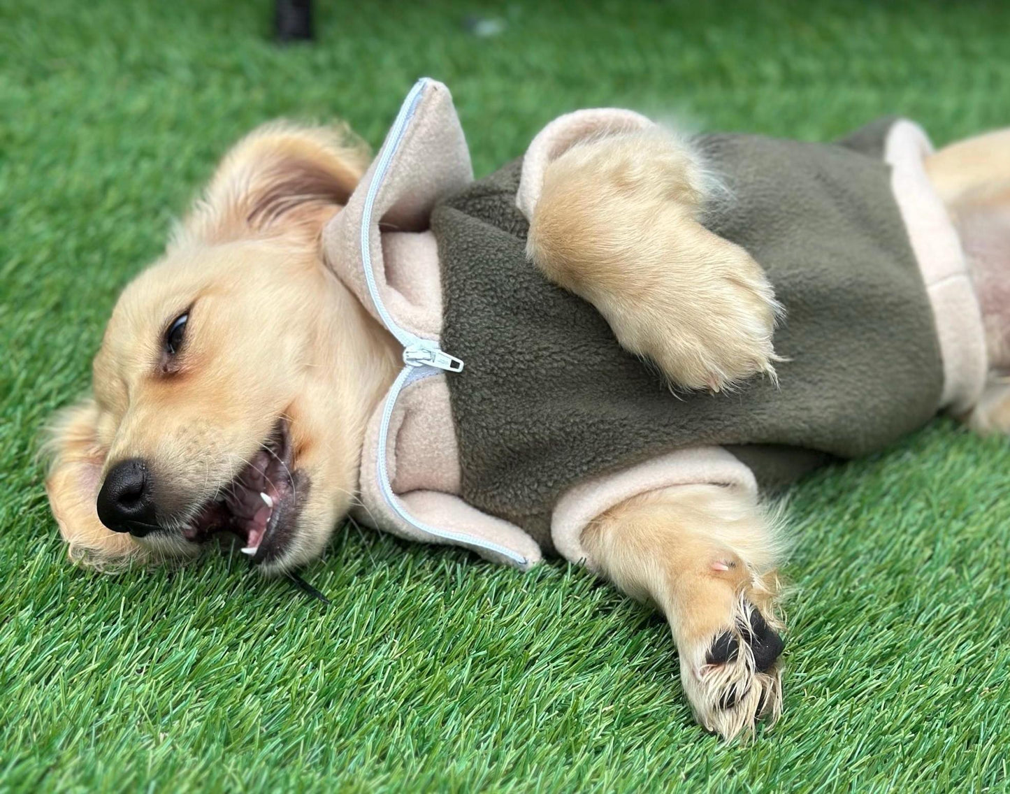 Dachshund Fleece Jumper: Two-Tone Zip Neck, Water Resistant