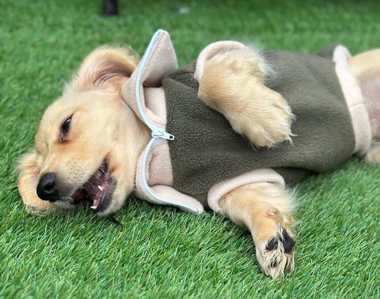 Dachshund Fleece Jumper: Two-Tone Zip Neck, Water Resistant