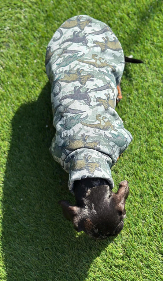 Dachshund Dino Fleece Jumper: Washable Daxie Sweatshirt