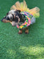 Dachshund tutu dog dress ,  dog dress , dog tutu ,dachshund tutu , pet accessories, dog party dress