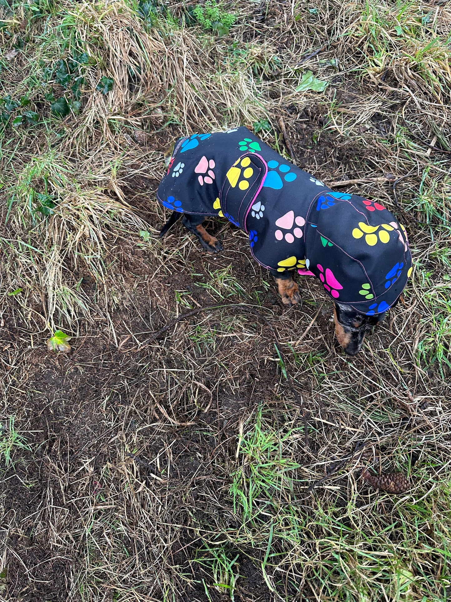 Waterproof Dachshund Raincoat: Fleece Lined Hooded Dog Coat