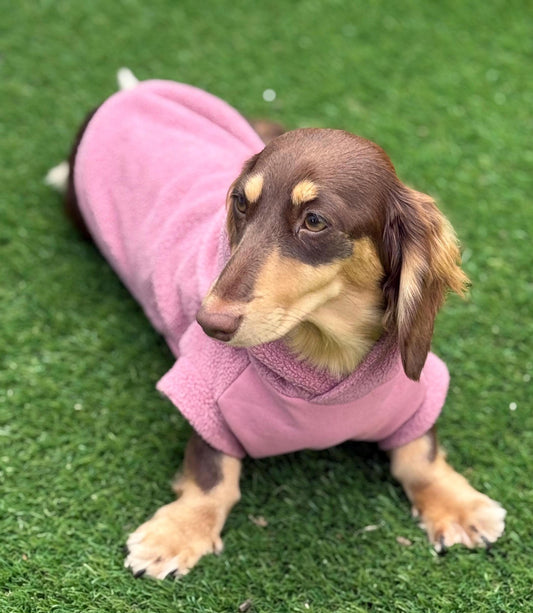 Waterproof Dachshund Hoodie: Fleece Lined, Mud Repellent Soft Shell