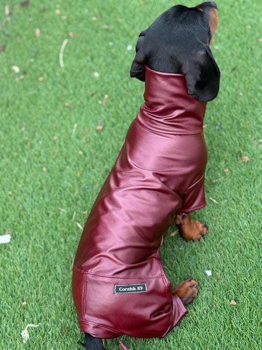 Waterproof Dachshund Onesie: Eco-Friendly Stretchy Dog Jumpsuit