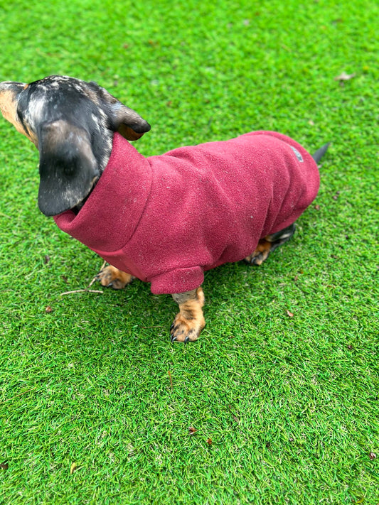 Waterproof Softshell Dachshund Fleece Jumper: Mud & Water Repellent