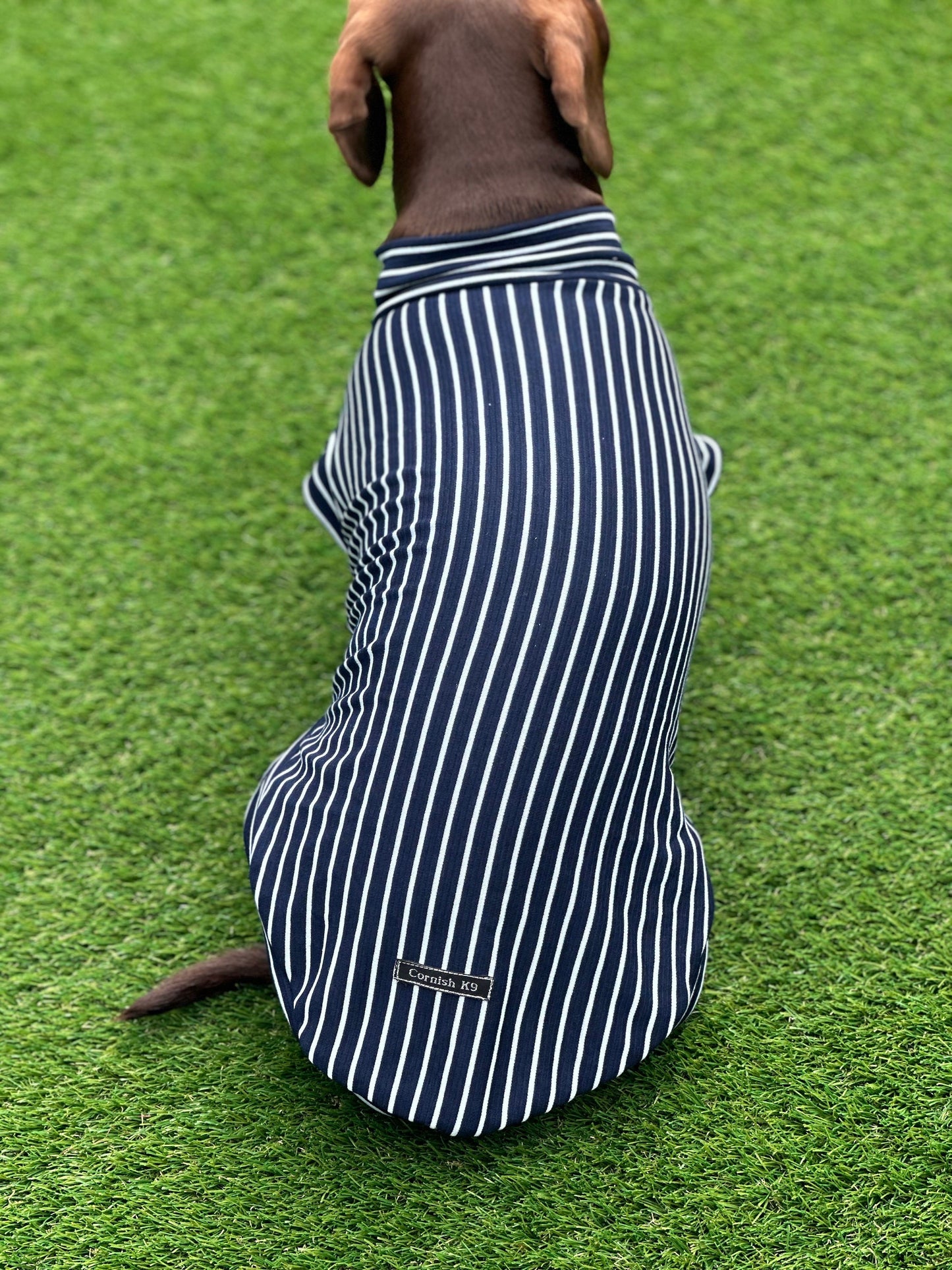 Dachshund Stripe Jersey Jumper: Washable Dog T-Shirt