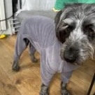 Dog Fleece jumpsuit ,dog coat, breathable dog jumper , dog onesie,dog pyjamas ,Water & Mud Repellent dogsuit,dog fleece