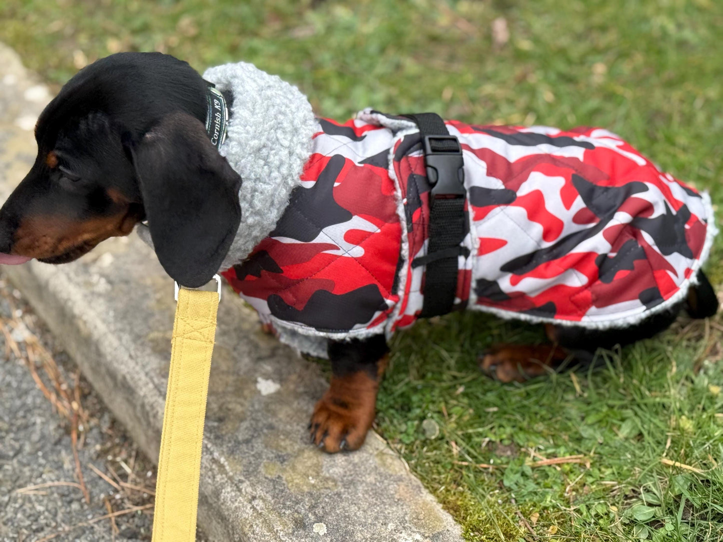 Waterproof Quilted Dachshund Coat: Sherpa Fleece Lined Winter Dog Coat