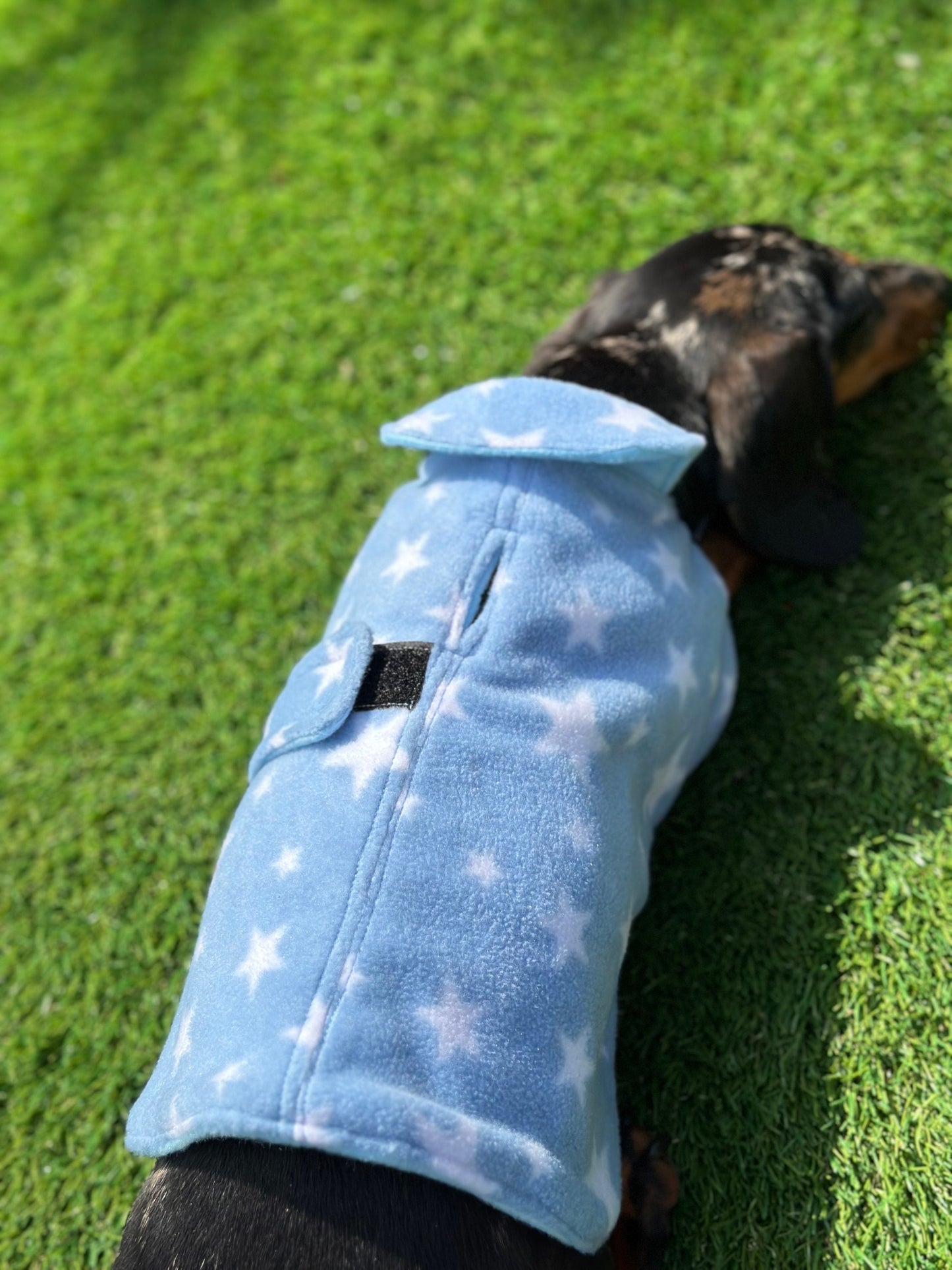 Dachshund Fleece Dog Coat: Double Layered, Water Repellent
