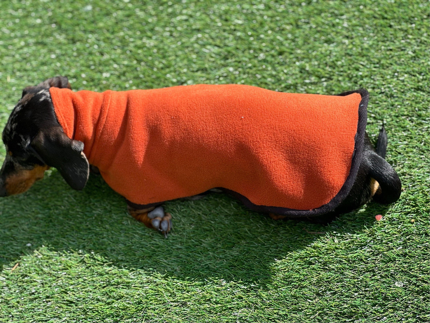 Dachshund Fleece Dog Coat: Mud Replacement, Double Layered, Custom Fit