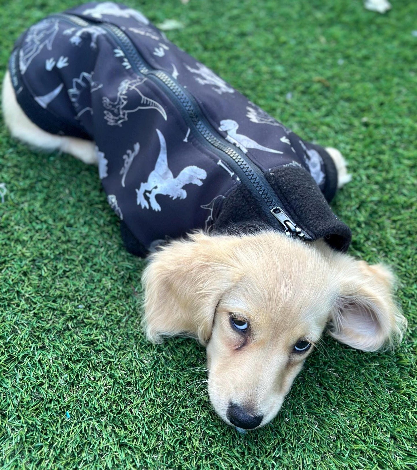 Dachshund  zipped Softshell waterproof  fleece ,dachshund zipped  jumper ,dachshund jacket,water and mud repellent fleece , dachshund fleece