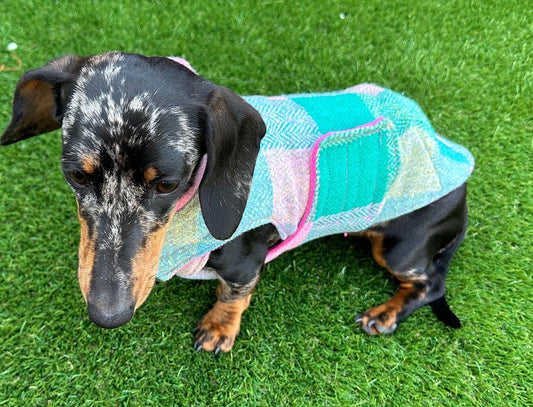 Harris Tweed Dachshund Coat: Fleece Lined Wool Dog Jacket