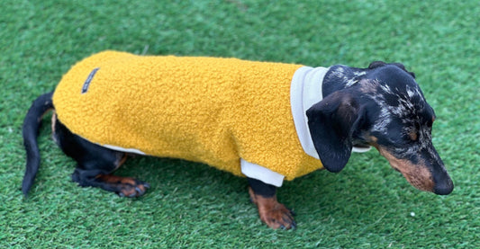 Boucle Dachshund Fleece Jumper: Cozy Thermal Small Dog Coat