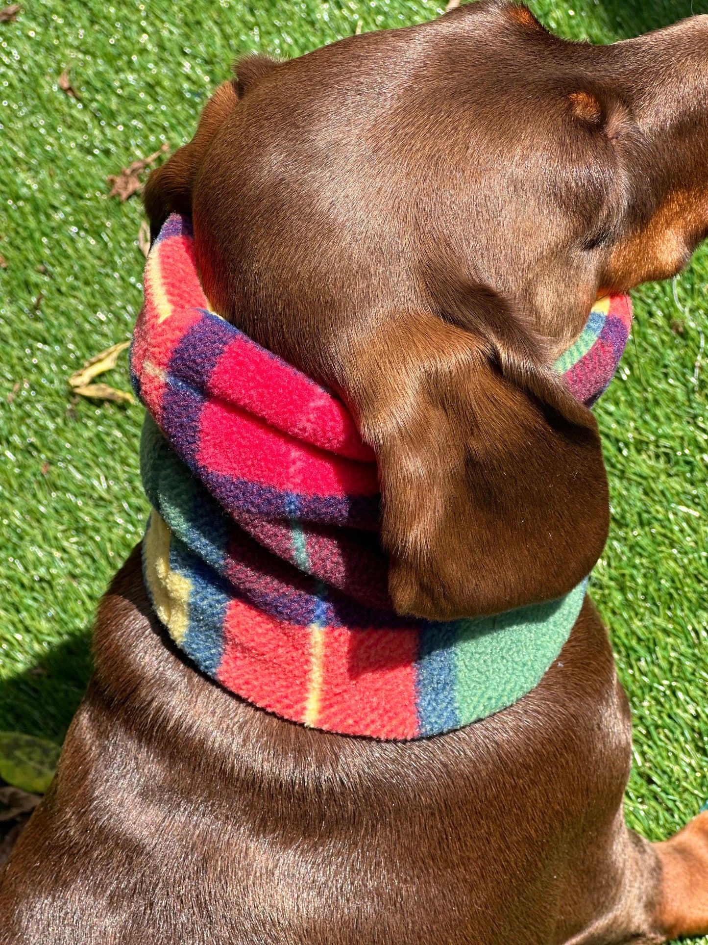 Dachshund Tartan Fleece Snood: Dog Neck Warmer