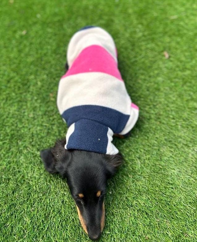 Dachshund Fleece Jumper: Breathable, Washable Dog Coat