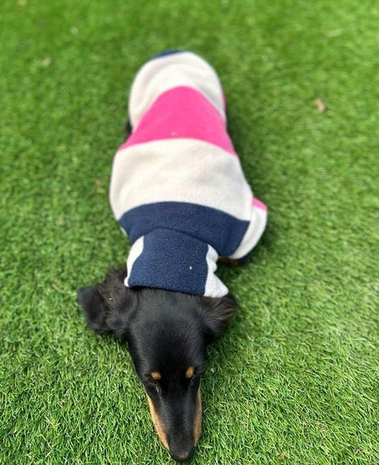 Dachshund Fleece Jumper: Breathable, Washable Dog Coat