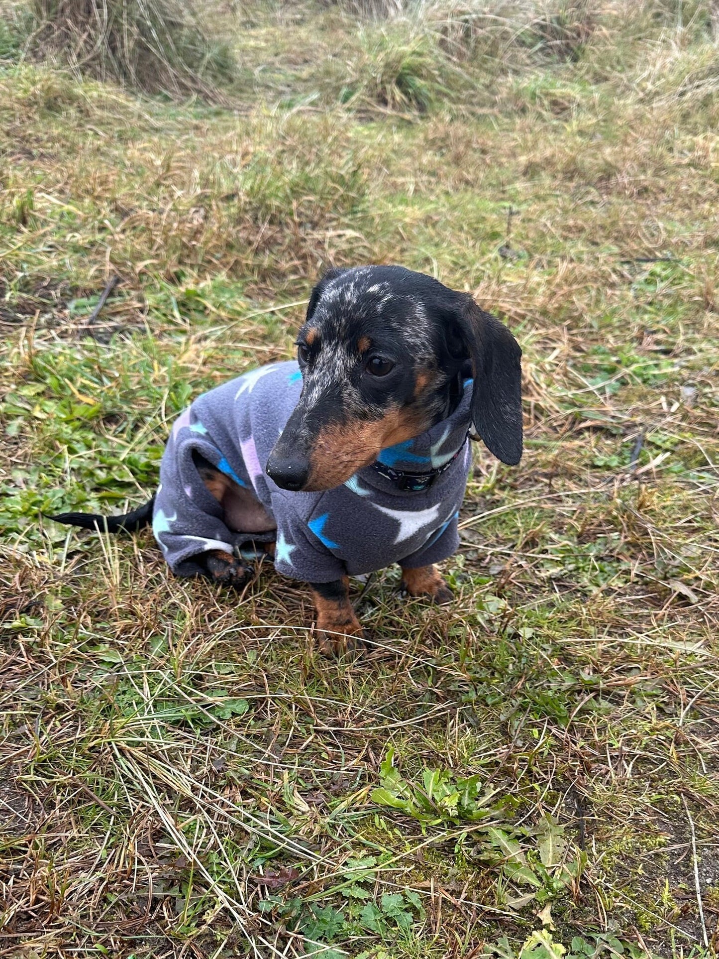 Miniature Dachshund Fleece Onesie: Water Repellent Dog Jumpsuit