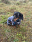 Miniature Dachshund Fleece Onesie: Water Repellent Dog Jumpsuit
