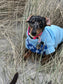 Dachshund  waterproof tummy fleece ,dachshund jumper ,dachshund jacket,mud and water repellent fleece , dachshund fleece