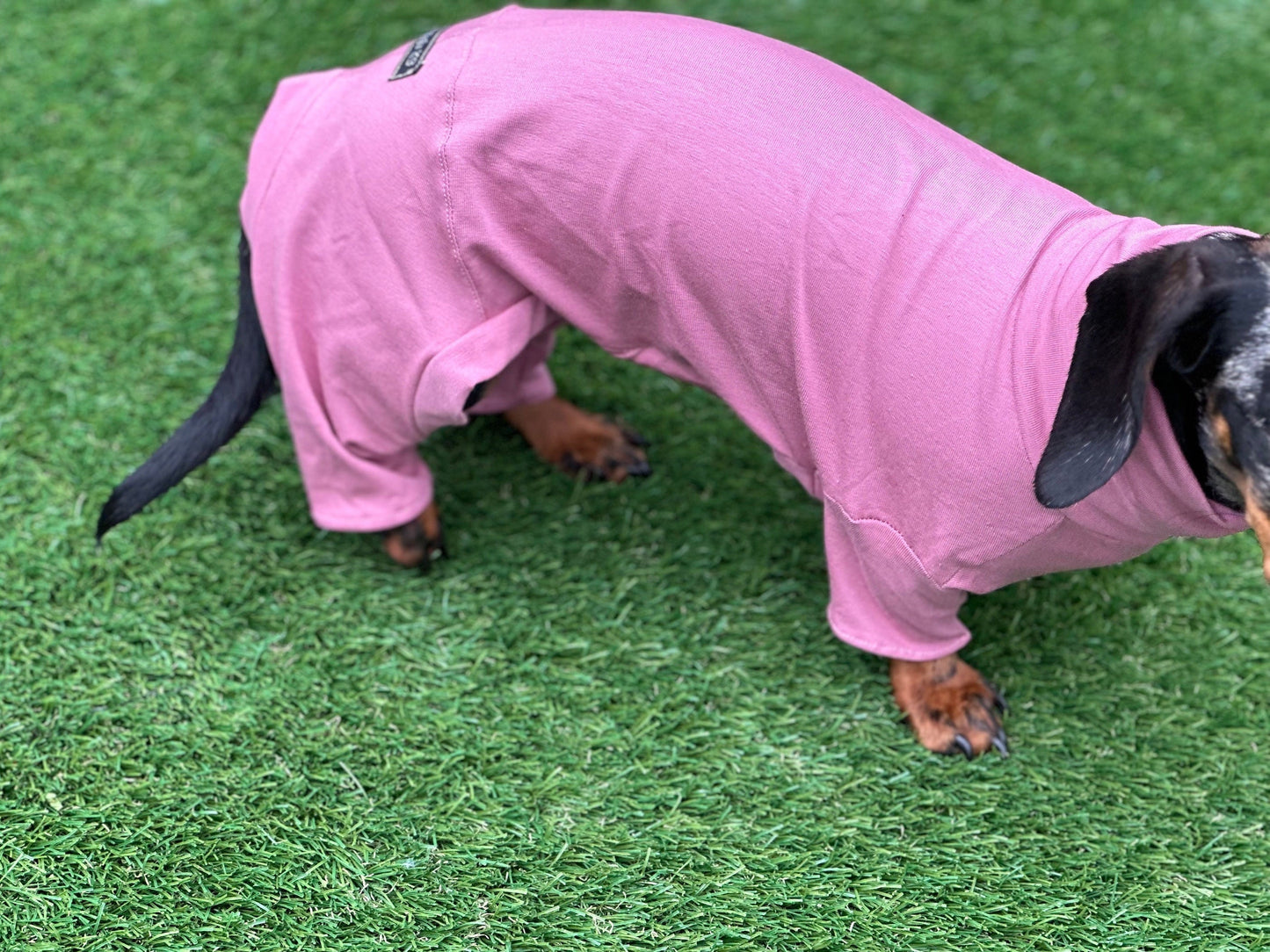 Dachshund Cotton Jersey Onesie: Cooling Pajama Jumpsuit