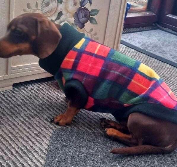 Plaid Fleece Dachshund Jumper: Water & Mud Repellent Dog Coat